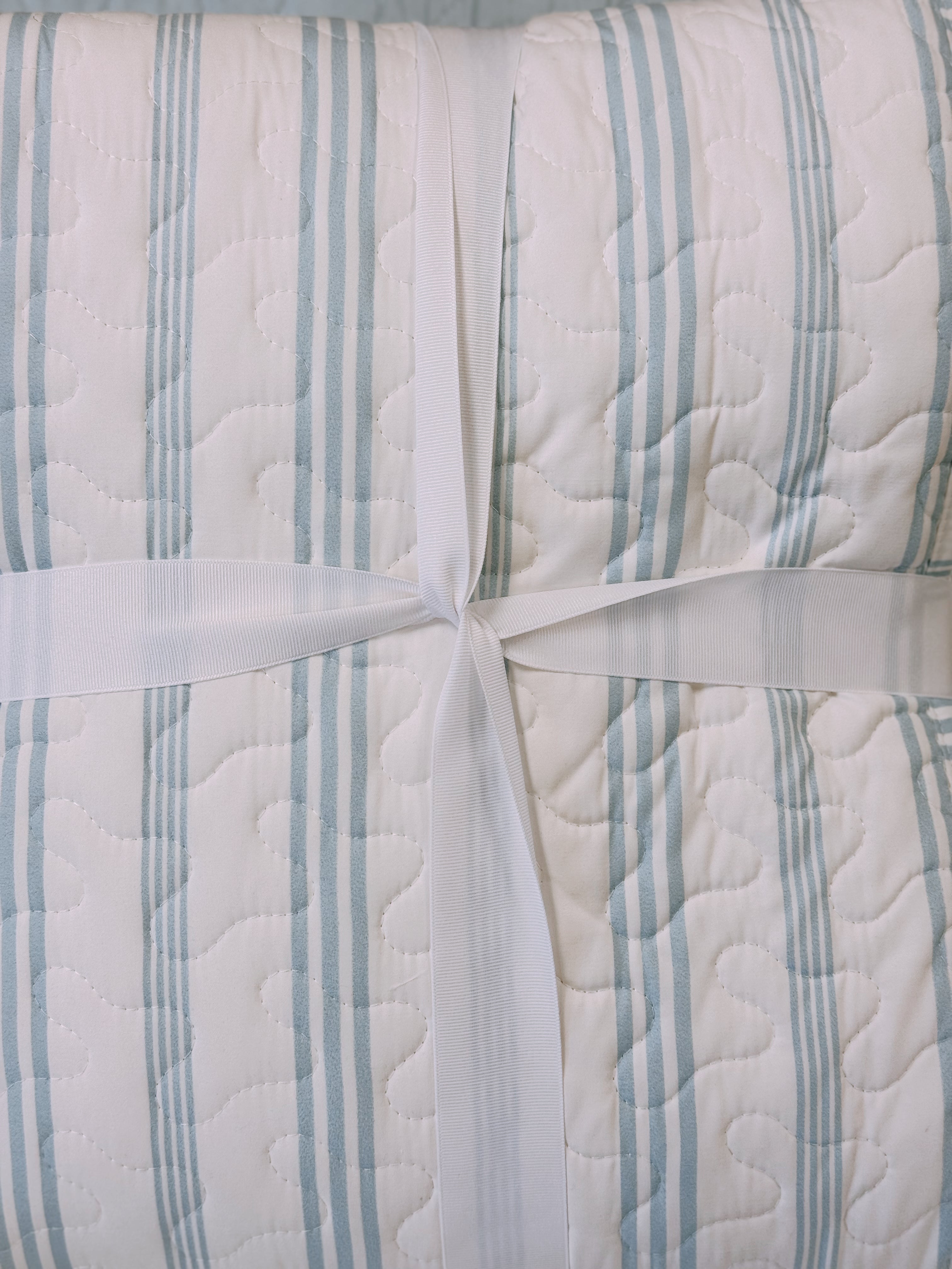 French Stripe in Light Blue