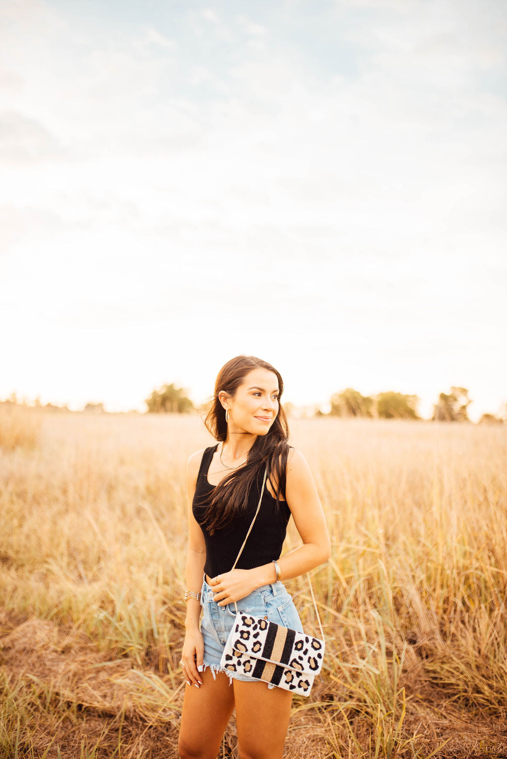 Black & Gold stripe with Animal Print Clutch